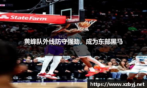 黄蜂队外线防守强劲，成为东部黑马