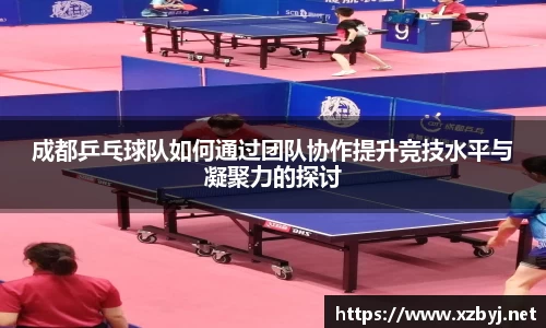 成都乒乓球队如何通过团队协作提升竞技水平与凝聚力的探讨